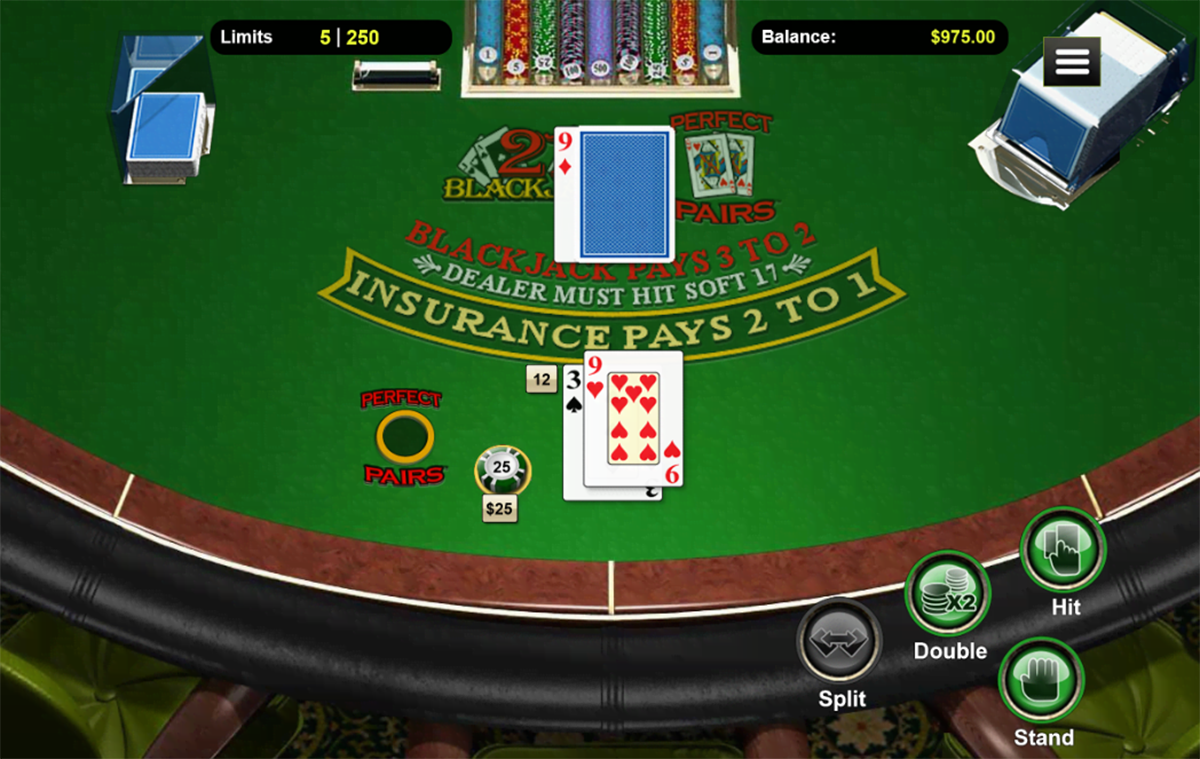 Slot Madness Casino Blackjack Table Game Screenshot