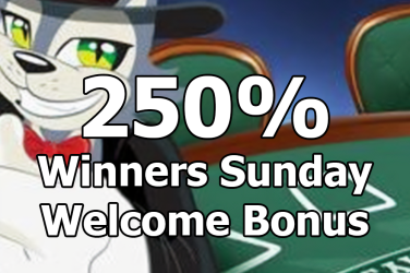 Winners Sunday Bonus 250% CoolCat Casino