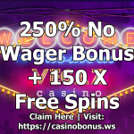 No Wagering Casino Welcome Bonus Free Spins Promo Code